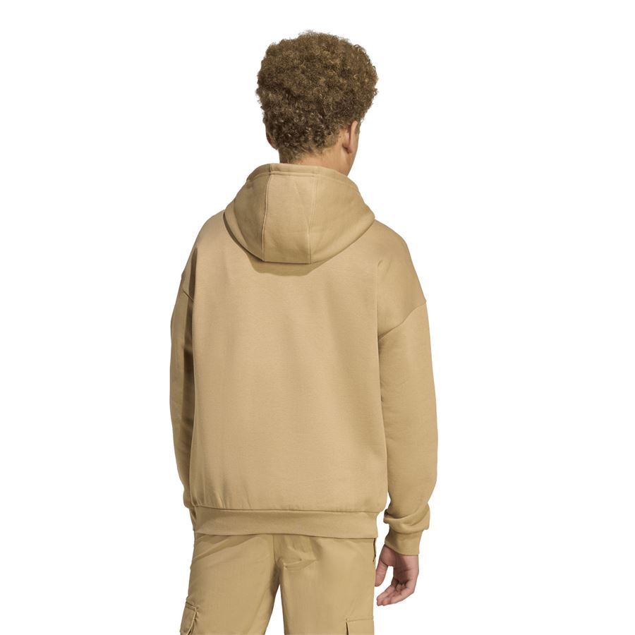 Loose Hoodie felpa con cappuccio Adidas | JX2798X